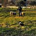 Luigi Procopio - Facebook