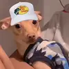 Luigi Sanchez - @luigi.sanchez056 - TikTok