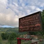 Luigi Tedesco - @azienda_agricola_pantanelle - Instagram