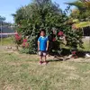 Luis Alfaro - @luisalfaro198 - TikTok