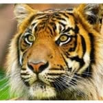 Luis Anselmo - @luisanselmo7 - Instagram