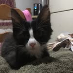 Luis Apodaca - @apodaca3786 - Instagram