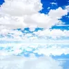 LuisaArchuleta - @polliveluwd - TikTok