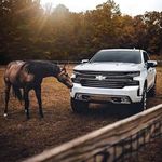 Luis Arciga - @luis.arciga.739 - Instagram