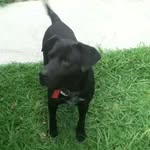 Luis Arciga - @l.u.i.s.a.r.c.i.g.a - Instagram
