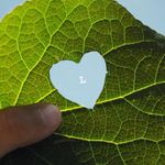 Luis Argudo - @luisargudo - Instagram