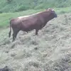 Luis Argudo - @luis.argudo2 - TikTok