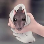 Luis Avitia - @ratman4535 - Instagram