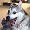 luisavitia157 - @luisavitia157 - TikTok