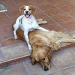 Luis Balbuena Sanz - @balbuenasanz - Instagram
