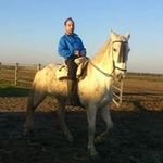Luis Barceló - @luis_islandia7 - Instagram