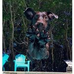 Luis Bauza - @wineboutiquepr - Instagram
