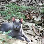 Luis Bermudes - @luis.bermudes.98031 - Instagram