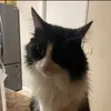 bob123luis - @bob123luis - TikTok