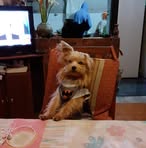 Bonetti Luis Emilio - Facebook