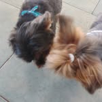 Luis BONETTI - @bonetti.luis - Instagram