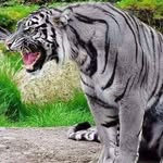 Jose Luis Bracamontes - @jose.luisbracamontes - Instagram
