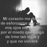 luis bracero - @luisbracefo - Instagram