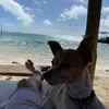 Luis Bryan - @luis.bryan10 - TikTok