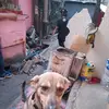 luisbugarin034 - @luisbugarin034 - TikTok