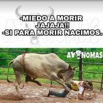 Luis Bultron - @elbuho015 - Instagram