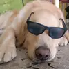 Luis Guillermo Burga - @luis.burga - TikTok