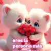 Luis cabezas - @luis.cabezas770 - TikTok