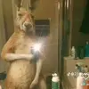 Luis Cabezas - @luis.cabezas4 - TikTok