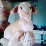 Luis Gustavo Cajina - @luisito_macho - Instagram