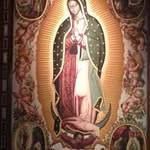 Jose Luis Camberos Fajardo - @camberosfajardo - Instagram