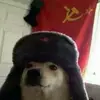 Luis Calderón - @luiscamberos_ - TikTok