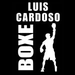 Academia de Boxe Luis Cardoso - @boxe_luiscardoso - Instagram