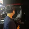 Luis Cardoso - @camoflais - TikTok
