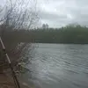Luis Cardozo - @luis.cardozo35 - TikTok