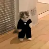 LUIS.cardozo - @luis.cardozo.0 - TikTok