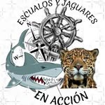 Luis Castorena Arce - @luiscastorenaarce - Instagram