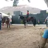 Luis Colmenarez - @luiscolmenrez77 - TikTok
