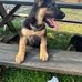 Luis Conner - Facebook