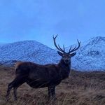 Luis J. Conner - @luisj.conner - Instagram