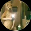 Luis Cristobal Teran Cespedes - @luis.cristobal.te - TikTok