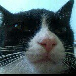 Luis dalton martinez - @luis_dalton - Instagram