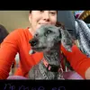luisaaddydillon - @luisaaddydillon - TikTok