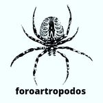 Luis Eguiluz Ortiz - @foroartropodos - Instagram