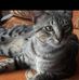 Luis Espinel - Facebook