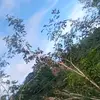 Luis Fallas - @luis.fallas70 - TikTok