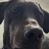 LuisfeRiano - @luisferiano - TikTok