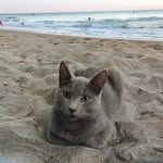 Luis Ferreras - @luisinho1973 - Instagram