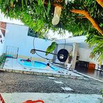 Luis Flecha - @quinta_alelo - Instagram
