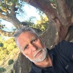 Luis Fontes - @fontes66 - Instagram