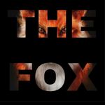 Luis Fontes 🔶 THE FOX - @thefoxsound - Instagram